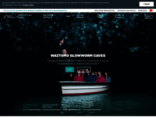 waitomo.com screenshot