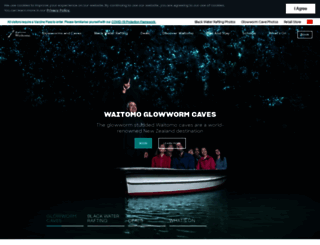 waitomocaves.co.nz screenshot