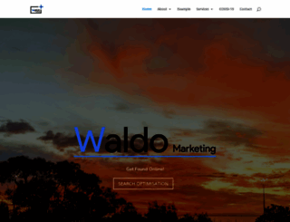 waldomarketing.com.au screenshot