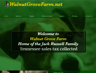 walnutgrovefarm.net screenshot