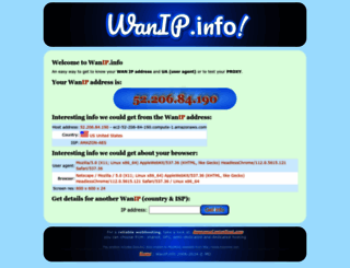 wanip.info screenshot