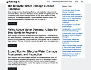 waterdamagementor.com screenshot