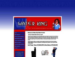 waterkingwater.com screenshot