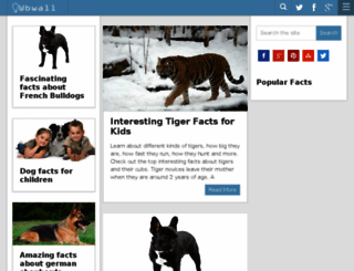 wbwall.com screenshot