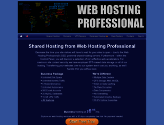 web-hosting-professional.com screenshot
