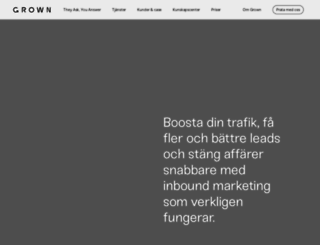 webbstrategerna.se screenshot
