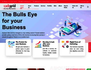 webgrid.co.in screenshot