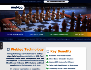 webigg.com screenshot