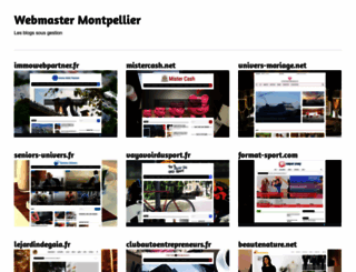 webmaster-montpellier.fr screenshot