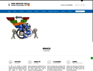 webservicedelhi.com screenshot