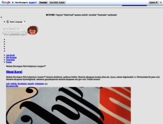 websitedevelopers.tr.gg screenshot