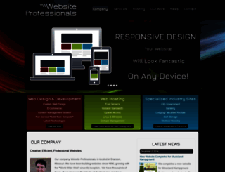 websiteprofessionals.com screenshot