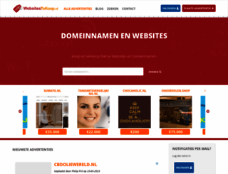 websitestekoop.nl screenshot