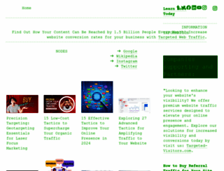 websitetraffic.cargo.site screenshot