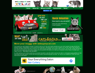 webuyanycat.com screenshot