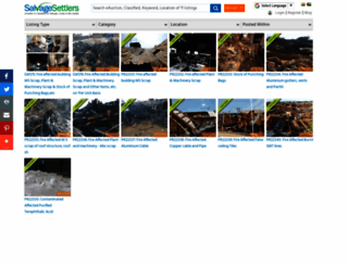 weddingdoers.com screenshot