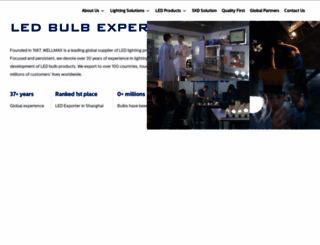 wellmaxgroup.com screenshot