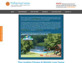 wellspringcamps.com screenshot