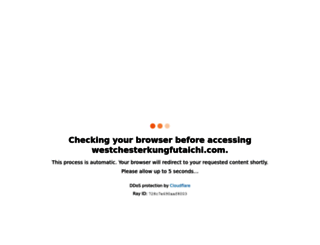 westchesterkungfutaichi.com screenshot