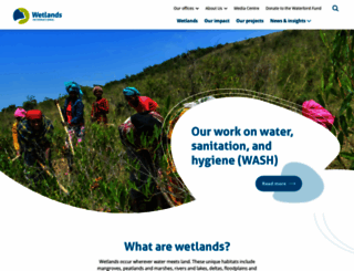 wetlands.org screenshot