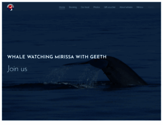 whale-watching-mirissa.com screenshot