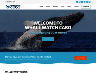 whalewatchcabo.com screenshot