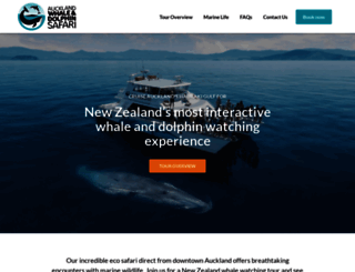 whalewatchingauckland.com screenshot