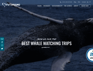 whalewatchingazores.com screenshot