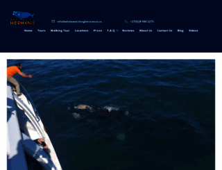 whalewatchinghermanus.co screenshot