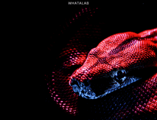 whatalab.com screenshot