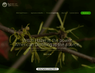 whazel.com screenshot