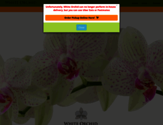whiteorchidthaicuisine.com screenshot