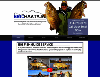 wibigfish.com screenshot