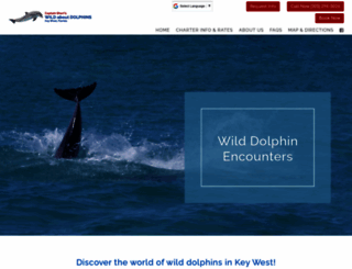 wildaboutdolphins.com screenshot