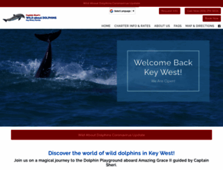 wildaboutdolphins.net screenshot