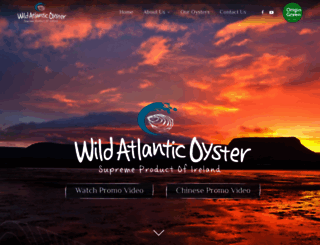 wildatlanticoyster.com screenshot