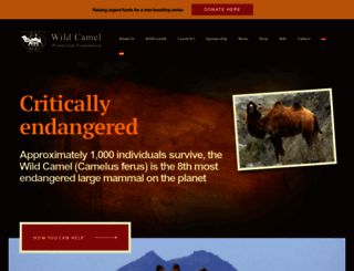 wildcamels.com screenshot