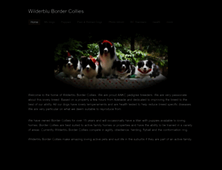 wilderblubordercollies.com screenshot