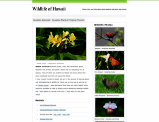 wildlifeofhawaii.com screenshot
