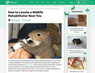 wildliferehabinfo.org screenshot