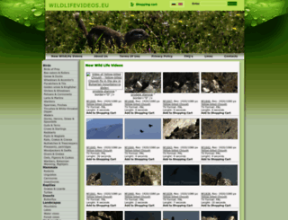 wildlifevideos.eu screenshot
