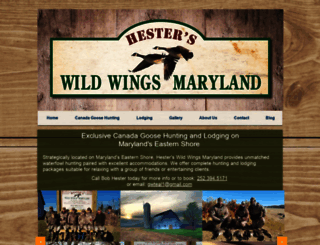 wildwingsmaryland.com screenshot