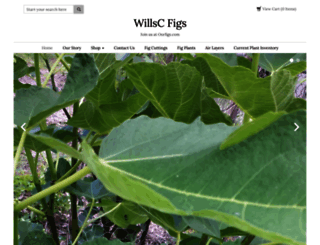 willsfigs.com screenshot