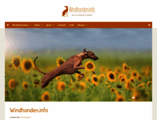 windhondenshow.nl screenshot