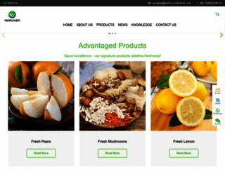 winfun-industrial.com screenshot