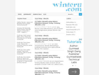 winteru.com screenshot