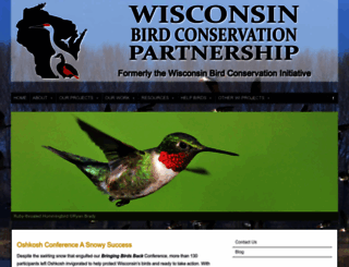 wisconsinbirds.org screenshot