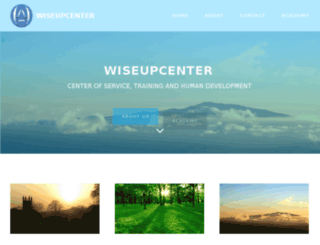 wiseupcenter.com screenshot