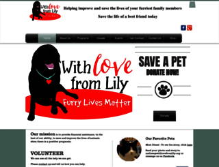 withlovefromlily.org screenshot