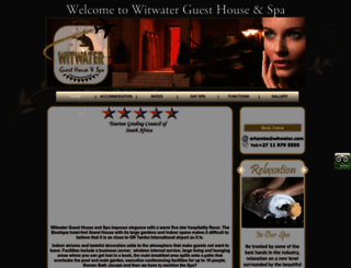 witwater.com screenshot